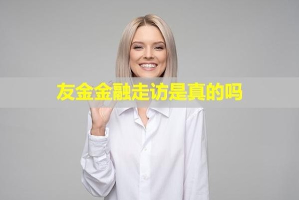友金金融走訪是真的嗎？
