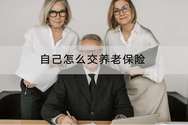 自己怎么交養(yǎng)老保險(xiǎn)？商業(yè)養(yǎng)老保險(xiǎn)什么產(chǎn)品好？