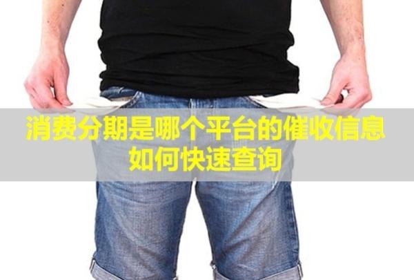 消費分期是哪個平臺的催收信息？如何快速查詢？