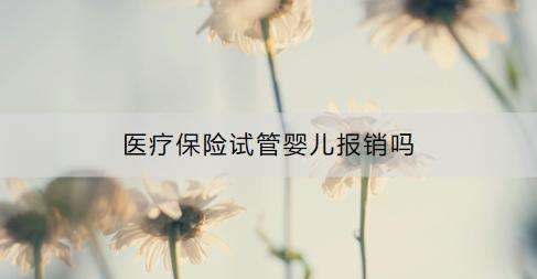 醫(yī)療保險(xiǎn)試管嬰兒報(bào)銷嗎