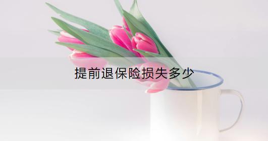 提前退保險損失多少？流程是什么？
