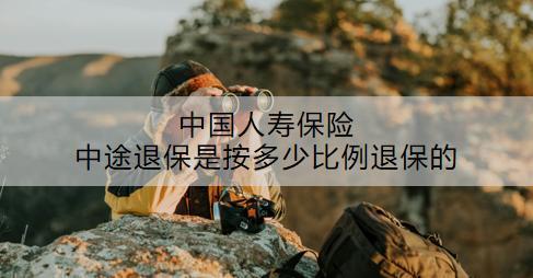 中國人壽保險中途退保是按多少比例退保的？流程是什么？