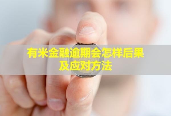 有米金融逾期會(huì)怎樣后果及應(yīng)對(duì)方法？