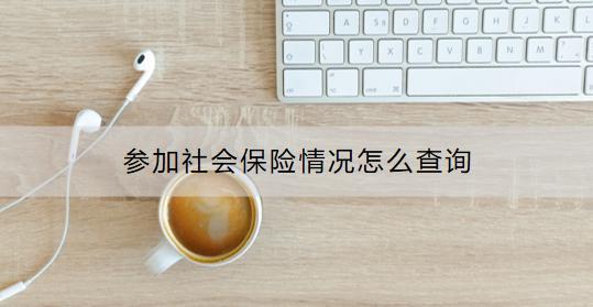 參加社會保險情況怎么查詢？查詢時需注意什么？