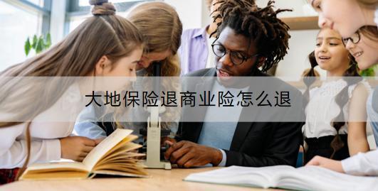 大地保險(xiǎn)退商業(yè)險(xiǎn)怎么退？有什么注意事項(xiàng)？