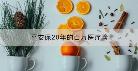 平安保20年的百萬(wàn)醫(yī)療險(xiǎn)怎么樣？如何購(gòu)買？