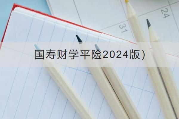 國壽財學平險2024版