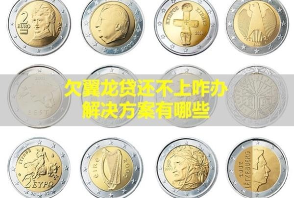 欠翼龍貸還不上咋辦？解決方案有哪些？