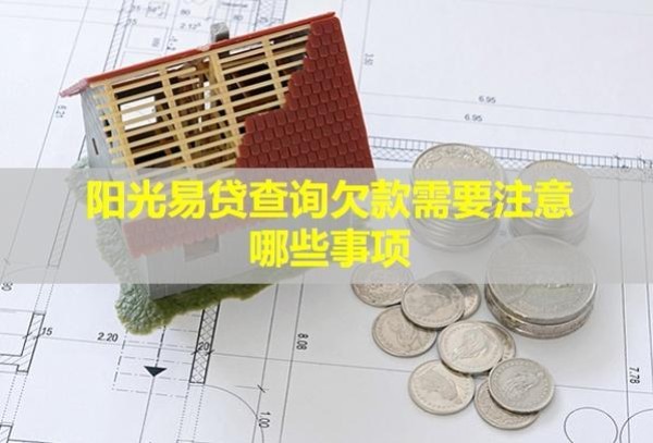 陽(yáng)光易貸查詢欠款需要注意哪些事項(xiàng)？不還會(huì)有什么后果？
