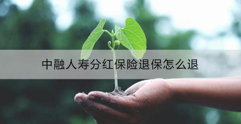 中融人壽分紅保險(xiǎn)退保怎么退？要注意什么？