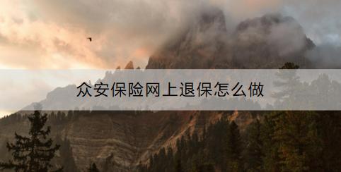 眾安保險(xiǎn)網(wǎng)上退保怎么做