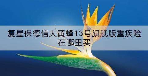 復(fù)星保德信大黃蜂13號旗艦版重疾險(xiǎn)在哪里買？特點(diǎn)是什么？
