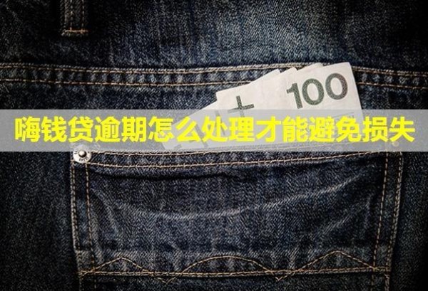 嗨錢(qián)貸逾期怎么處理才能避免損失？后果是什么？