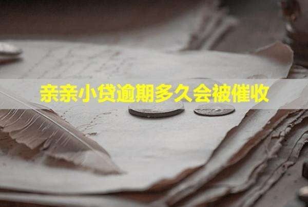 親親小貸逾期多久會被催收？