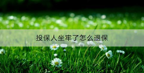 投保人坐牢了怎么退保？可以退多少？