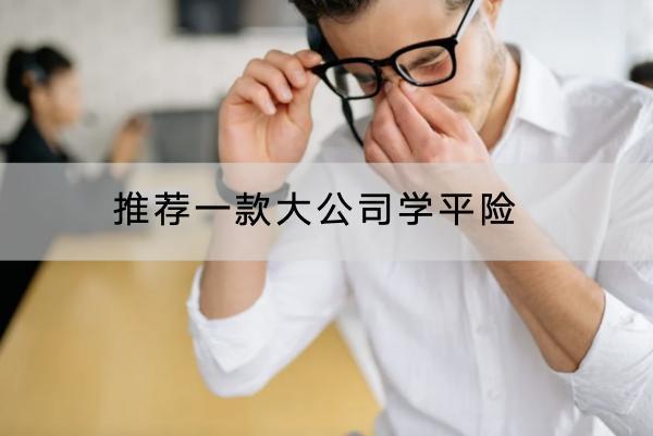 推薦一款大公司學(xué)平險