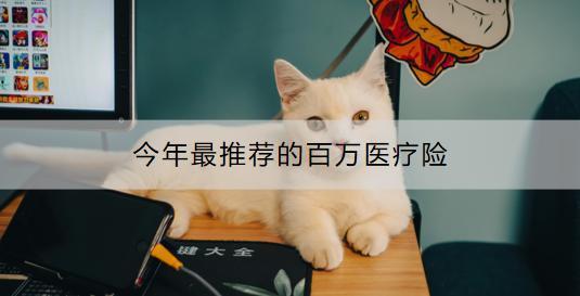 今年最推薦的百萬(wàn)醫(yī)療險(xiǎn)有哪些？購(gòu)買百萬(wàn)醫(yī)療險(xiǎn)有哪些建議？