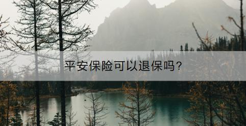 平安保險(xiǎn)可以退保嗎?退保退多少？