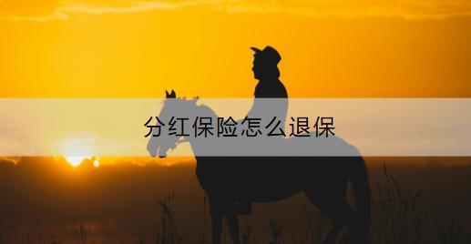 分紅保險怎么退保？退保可以退多少？