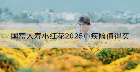 國(guó)富人壽小紅花2025重疾險(xiǎn)值得買嗎？購(gòu)買注意事項(xiàng)是什么？