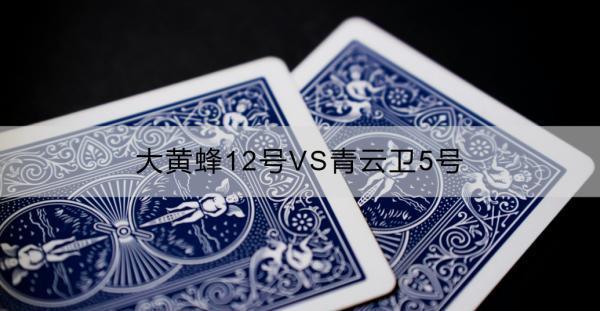 大黃蜂12號VS青云衛(wèi)5號誰更好？選購保險產(chǎn)品時應注意什么？