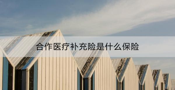 合作醫(yī)療補充險是什么保險？有哪些？