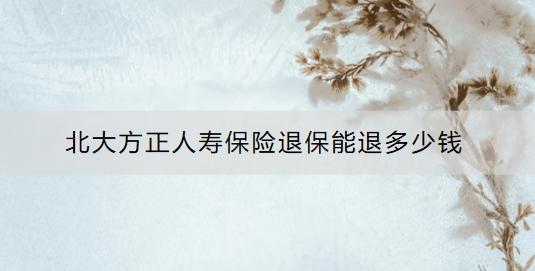 北大方正人壽保險(xiǎn)退保能退多少錢？退保流程是什么？