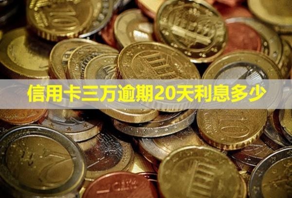 信用卡三萬逾期20天利息多少？會怎樣？
