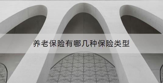 養(yǎng)老保險有哪幾種保險類型？如何購買？