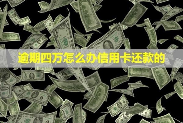 逾期四萬怎么<a href=