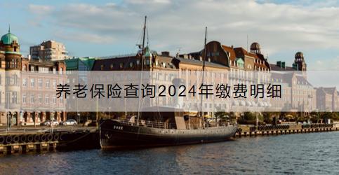 養(yǎng)老保險(xiǎn)查詢2024年繳費(fèi)明細(xì)：渠道是什么？注意事項(xiàng)是什么？