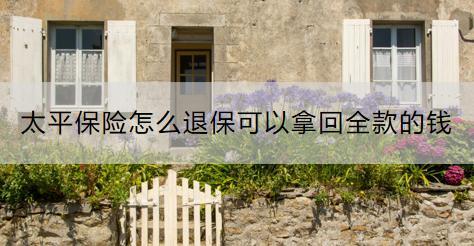 太平保險怎么退?？梢阅没厝畹腻X？退保流程是什么？