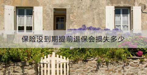 保險(xiǎn)沒(méi)到期提前退保會(huì)損失多少？怎么退？
