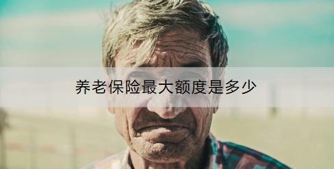 養(yǎng)老保險最大額度是多少？如何參加個人養(yǎng)老金？
