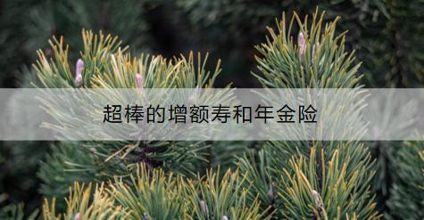 超棒的增額壽和年金險