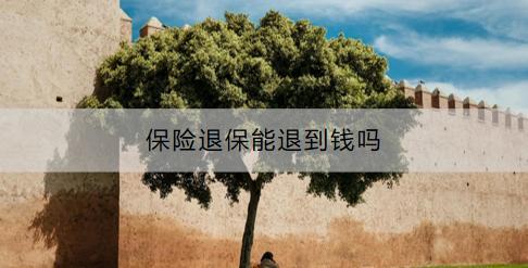 保險(xiǎn)退保能退到錢嗎？要考慮什么？