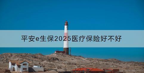 平安e生保2025醫(yī)療保險好不好？怎么買？
