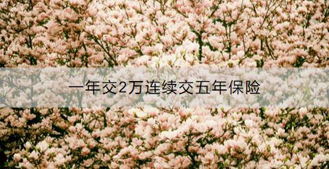 一年交2萬(wàn)連續(xù)交五年保險(xiǎn)是什么保險(xiǎn)？值得買嗎?