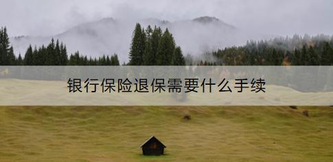 銀行保險(xiǎn)退保需要什么手續(xù)？需要注意什么？