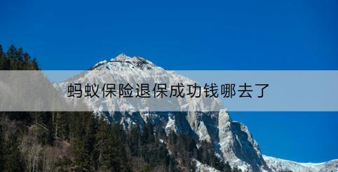 螞蟻保險怎么退保？螞蟻保險退保成功錢哪去了？