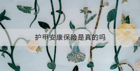 護(hù)甲安康保險(xiǎn)是真的嗎？如何購買？