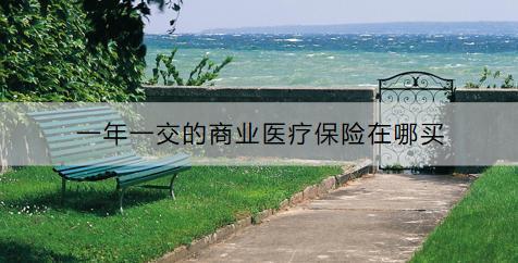 一年一交的商業(yè)醫(yī)療保險(xiǎn)在哪買(mǎi)？購(gòu)買(mǎi)要考慮什么？