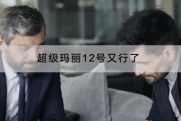 超級瑪麗12號又行了
