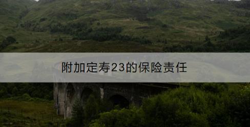 附加定壽23的保險(xiǎn)責(zé)任是什么？投保規(guī)則是什么？