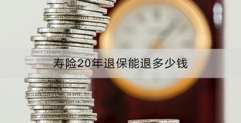 壽險20年退保能退多少錢？退保流程是什么？