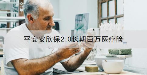 平安安欣保2.0長期百萬醫(yī)療險怎么樣？如何購買？