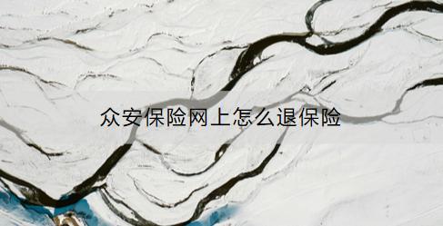 眾安保險(xiǎn)網(wǎng)上怎么退保險(xiǎn)