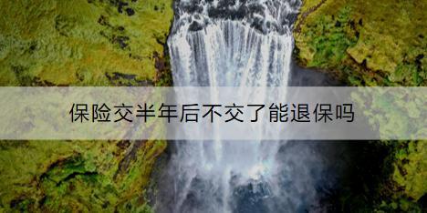 保險(xiǎn)交半年后不交了能退保嗎？退保能夠退多少？