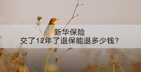 新華保險交了12年了退保能退多少錢?怎么退？
