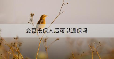 變更投保人后可以退保嗎？對保單有什么影響？